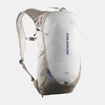 Picture of SALOMON - TRAILBLAZER 10 KHAKI NS